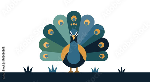 Peacock Displaying Vibrant Plumage and Feathers.