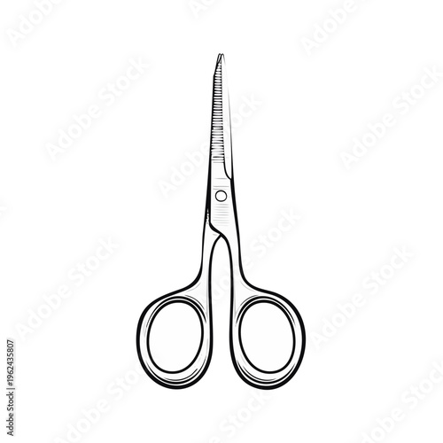 Illustration of a small pair of curved eyebrow scissors with fine blades