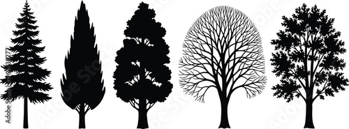 Silhouettes of different types of trees on a transparent background