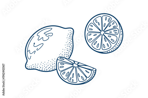 A minimalist illustration depicts a whole lemon and several lemon slices in blue line art