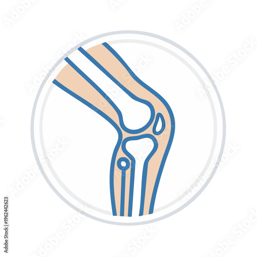 Medical illustration of a human knee joint and bones with detailed anatomical structure