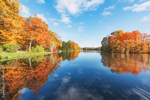 Trees by the pond in the autumn park.
