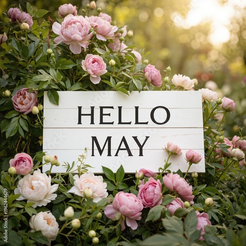hello may sign in the garden
