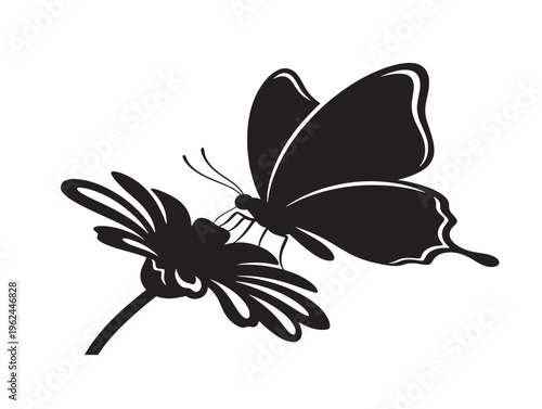 Butterfly on flower silhouette with gentle natural interaction scene 