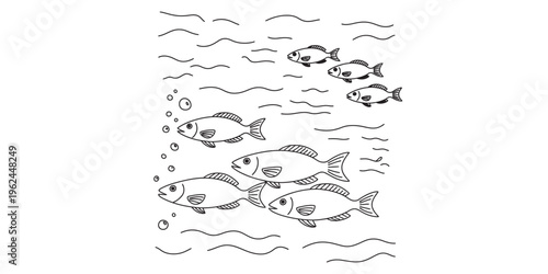 school of fish swimming underwater illustration