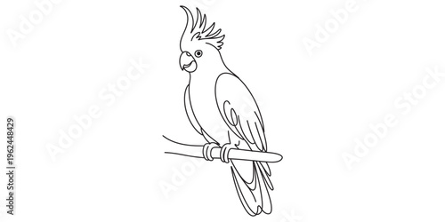 Cockatoo perched on branch, black and white illustration