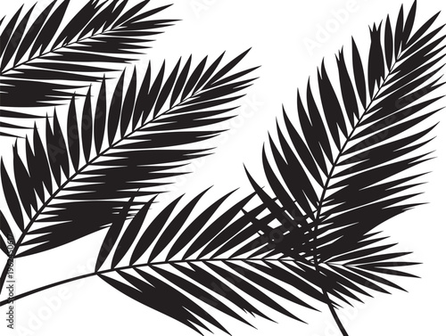 Stylish  palm leaf silhouette with modern tropical decorative appeal
