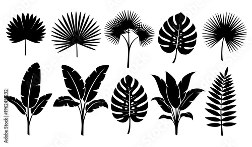 Exotic Palm Leaf Vector Icons – Black Tropical Silhouettes Collection