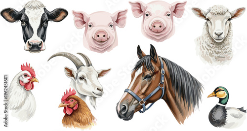 Farm Animal Heads Collection Featuring Cow, Pig, Sheep, Goat, Horse, Chicken and Duck Realistic Domestic Livestock Vector Illustration Set