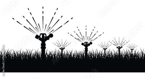 Silhouette of dandelion flowers in a field at sunset
