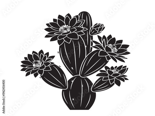 Beautiful flowering cactus silhouette with unique natural texture 