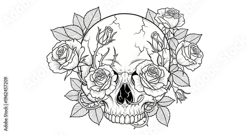 Black and white skull with roses.