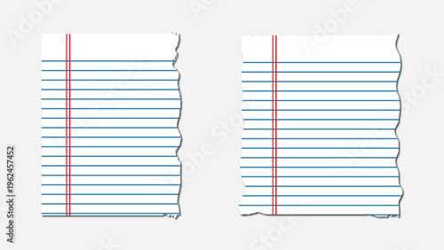 Two torn sheets of lined paper with red margin lines displayed