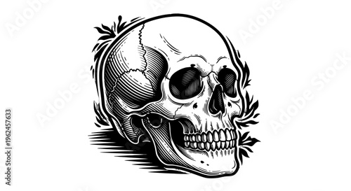 A black and white illustration of a skull.