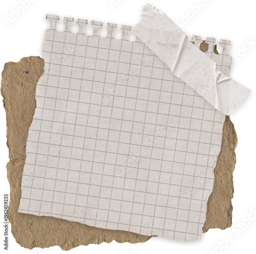 Obraz na plátně torn blank pages with uneven texture edges