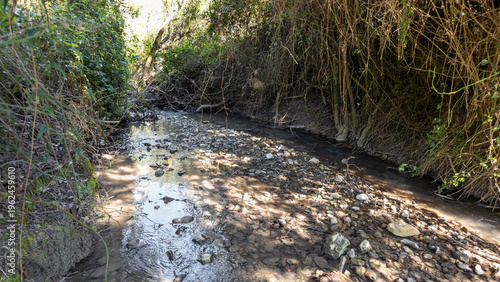 A shallow  stream in Shofet Stream Nature Reserve near the Yokneam city in northern Israel