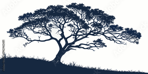 A large tree with sprawling branches on a hill