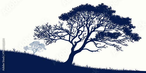 A large tree on a hill with two smaller trees in the background