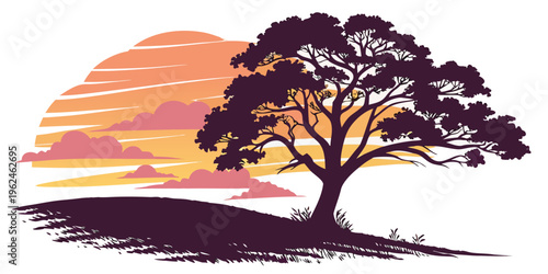 A tree silhouette at sunset or sunrise