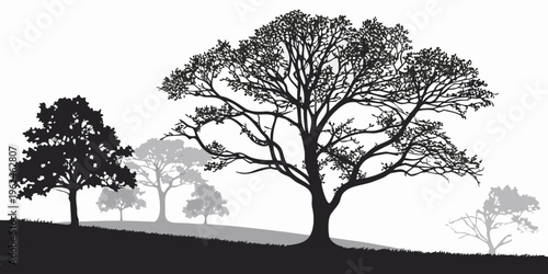 A group of trees on a hill