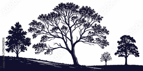 Silhouette of trees on a hill