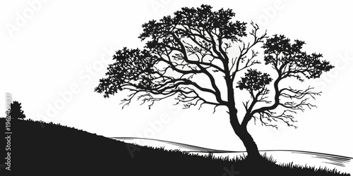 A black silhouette of a tree on a hill