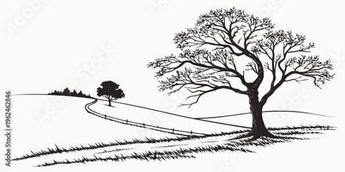A large tree standing on a grassy hill