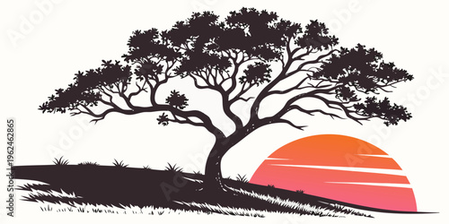 A tree on a hill with the sun setting behind it