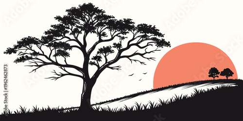 A tree on a hill with the sun setting