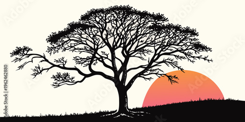 A tree with a sprawling canopy and a sunset in the background