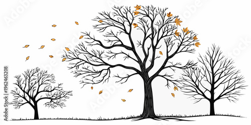 Three bare trees with leaves falling from branches