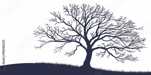 A bare tree on a small hill