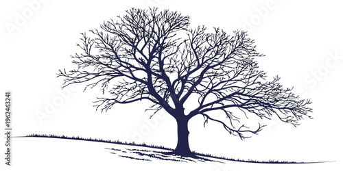 A bare tree on a small hill