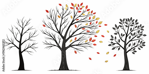 Three trees in different stages of autumn leaf change