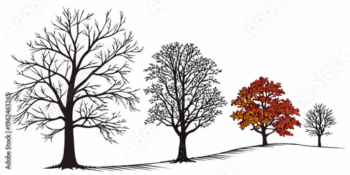 Four trees in different seasons