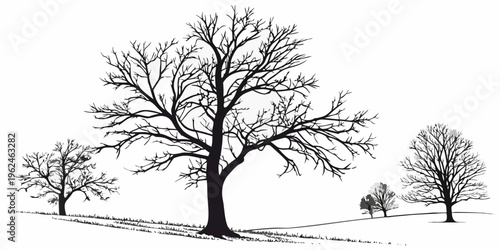 A group of bare trees on a hillside