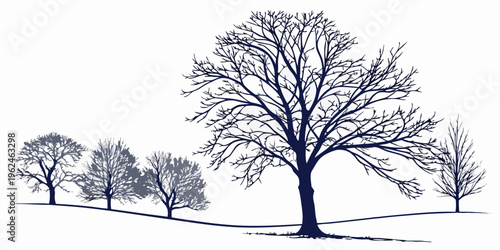 Five trees with bare branches on a white background