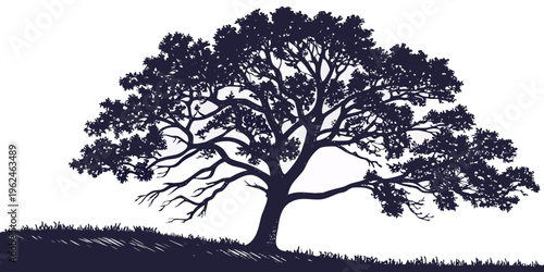 A large tree with a sprawling canopy and grassy hill