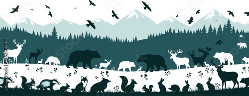 Wildlife ecosystem scene with animals and birds in forest and mountain landscape for environment education illustration