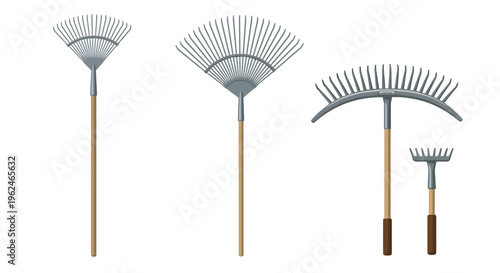 Set of garden rakes for farming and lawn maintenance, including leaf rakes and landscaping tools isolated on white