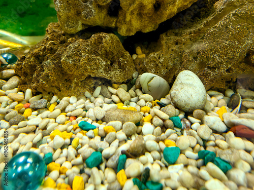 Pebbles in an aquarium
