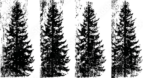 Black silhouette pine trees in vintage woodcut set with four vertical conifer shapes