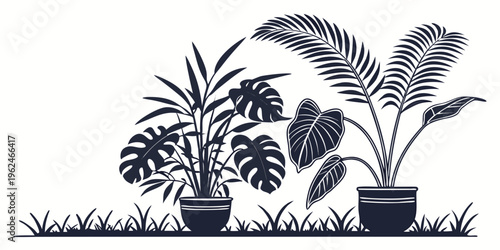 A collection of potted plants arranged on a small patch of soil