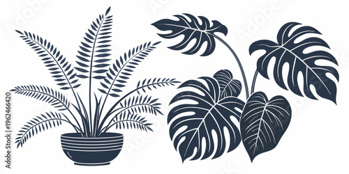 A variety of potted plants with large, dark green leaves and unique shapes.