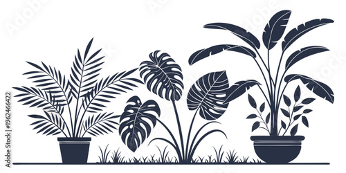 A diverse collection of potted plants arranged in a row on a windowsill