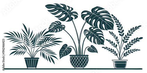 A diverse collection of potted plants arranged in a row on a windowsill