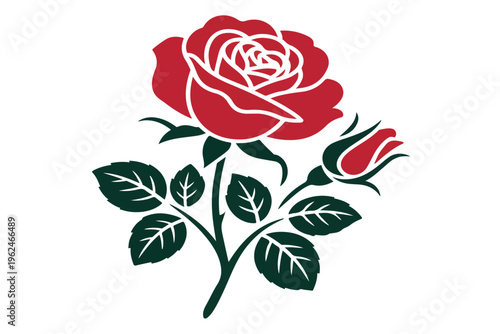 Red rose flower featuring main bloom and smaller closed bud with dark green leaves vector art