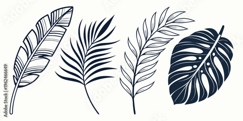 A collection of tropical leaves showcasing diverse shapes and patterns in black and white