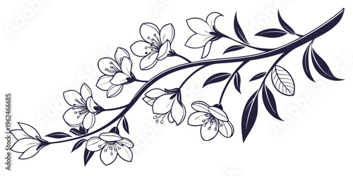 Elegant black and white illustration of a flowering branch with leaves