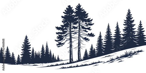 A serene winter landscape with tall pine trees standing on a snow-covered hillside